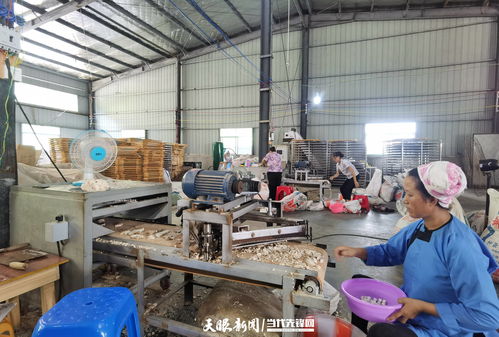 黎平 就業崗位送到家 扶貧車間 變 致富工廠