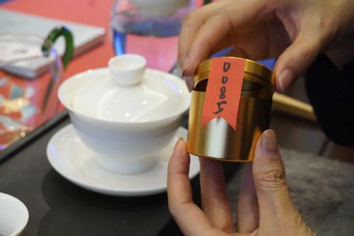 好茶，好書，好時(shí)光 ——《普洱》雜志15周年暨瀾滄古茶全國聯(lián)動(dòng)品讀會(huì)百城盛放